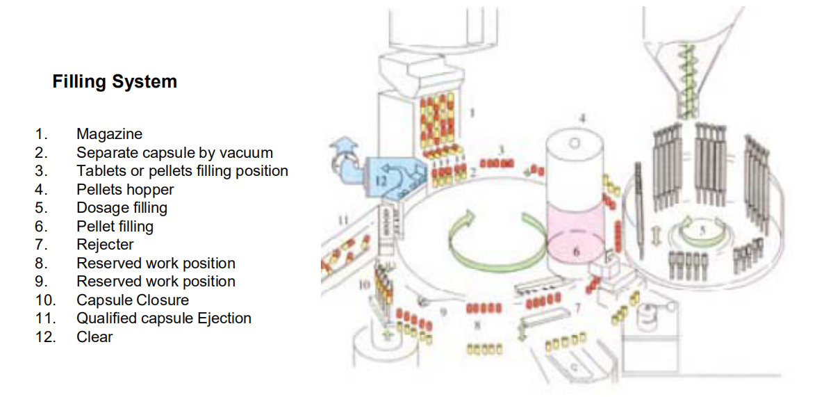 ระบบกรอกข้อมูลแคปซูล