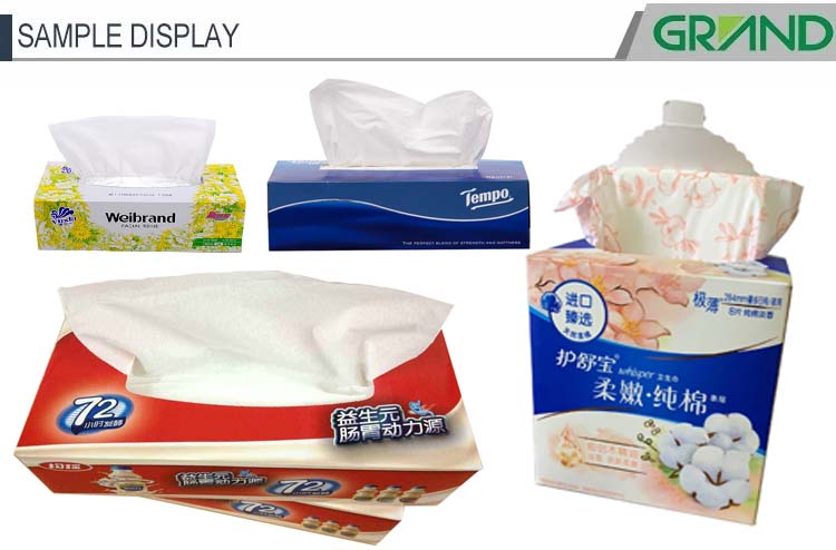 ตัวอย่าง Mask Cartoning Machine