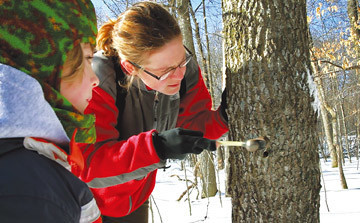 เทศกาลน้ำตาลเมเปิ้ล